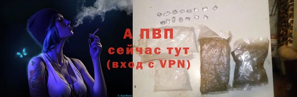дмт Новозыбков