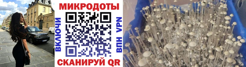 Псилоцибиновые грибы прущие грибы  даркнет сайт  Сычёвка 